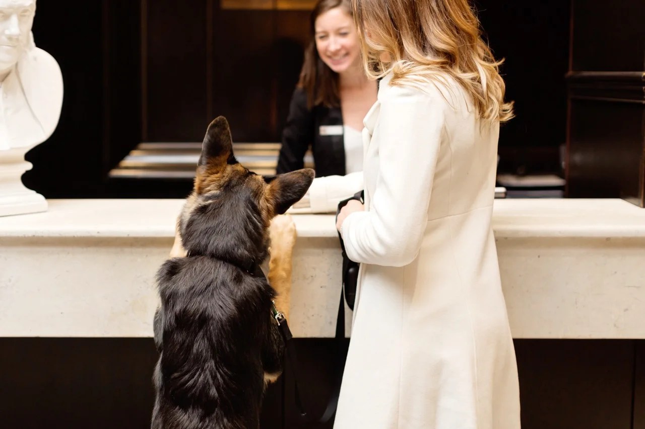 5 of the dogfriendliest hotels in Boston