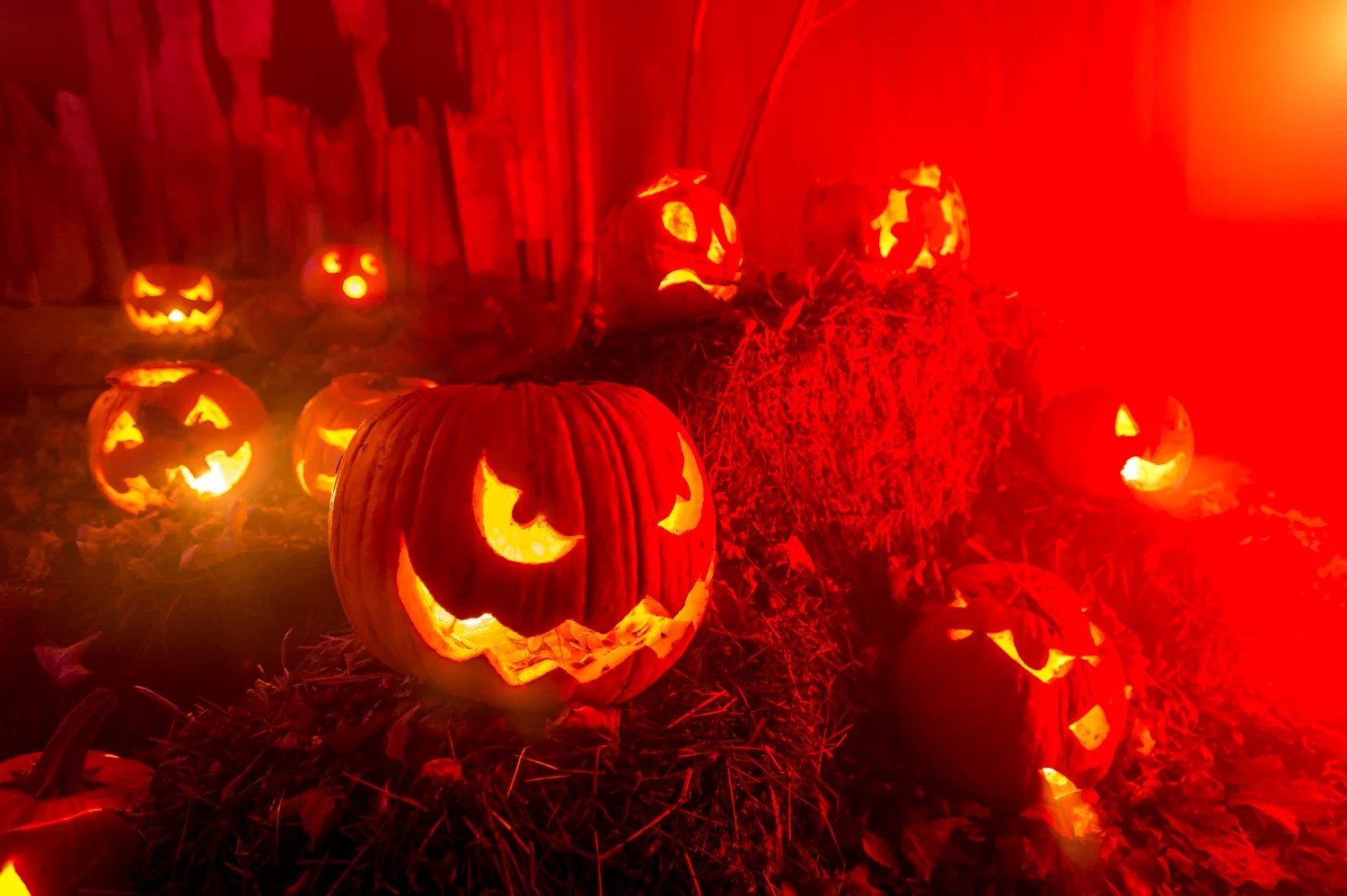 New Hampshire has one of the best haunted houses in America, according