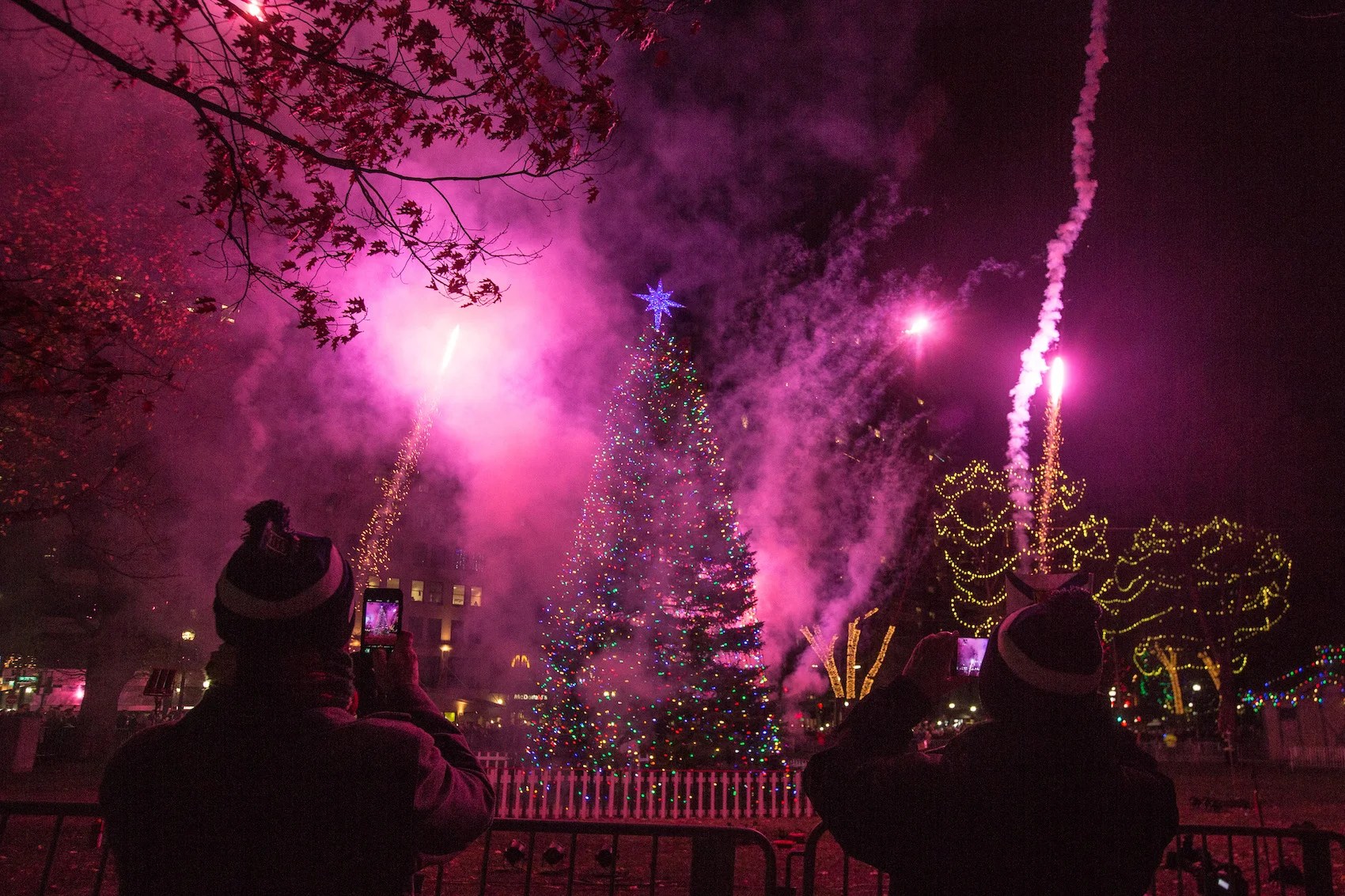 How and when to recycle your Christmas tree in Boston