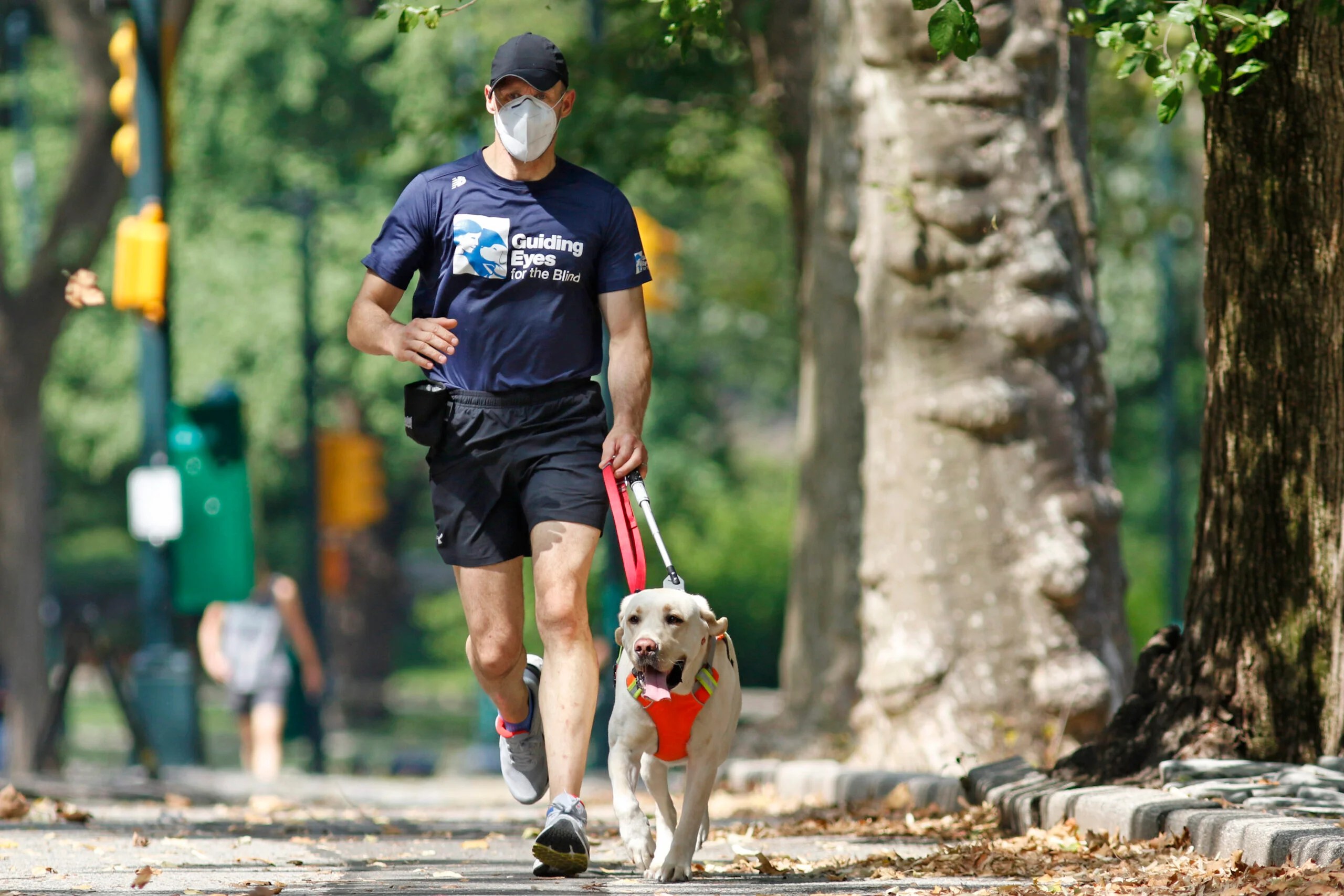 Guide dogs helping blind runners stay fit despite pandemic