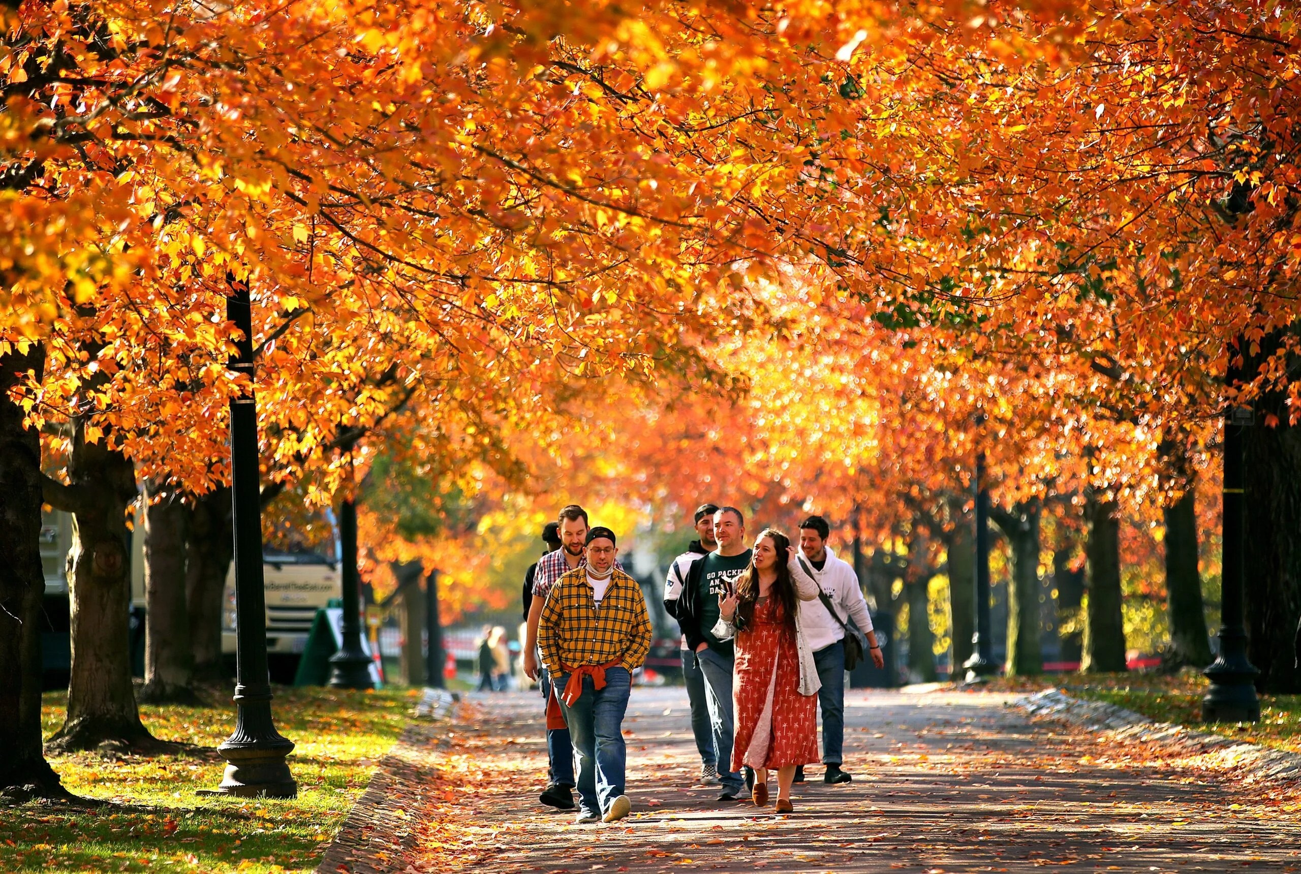 New England Leaf Peeping 2024 Bryn Marnia
