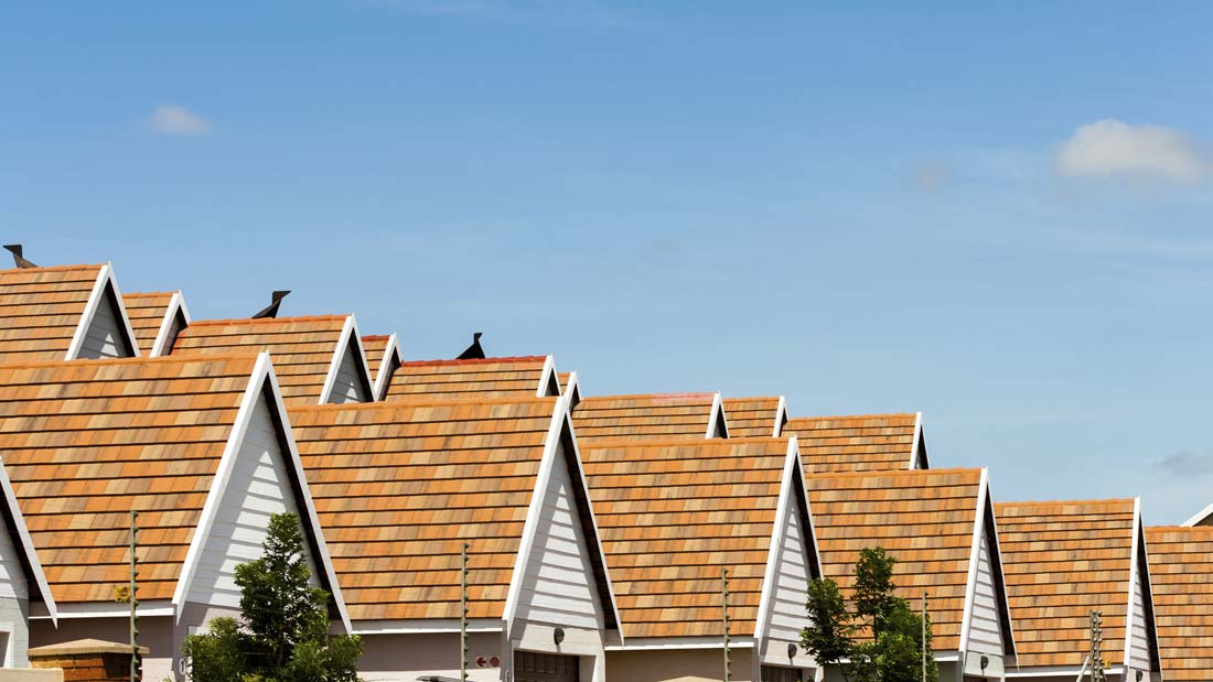 Business Development International Hawaii Roofing Contractor