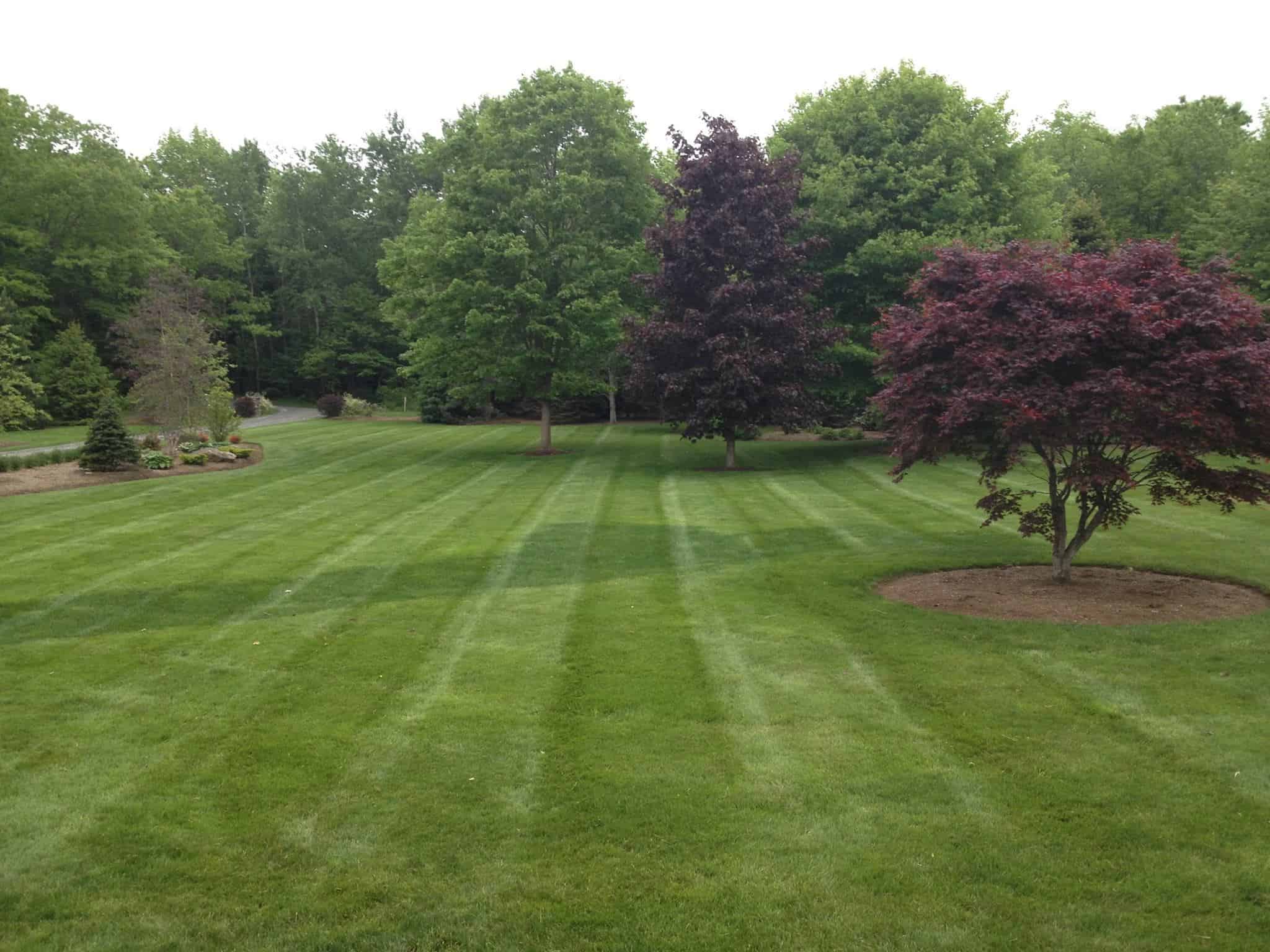 Grounds Maintenance B&D Landscaping