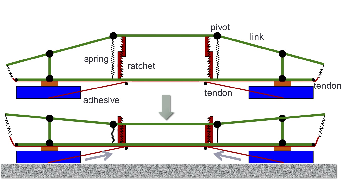 Dynamic Modeling For Resin Selfalignment Mechanism, 53 OFF