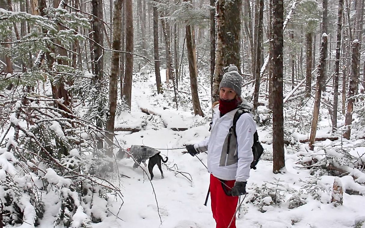 1minute hike Lake Loop Trail, Branch Lake Public Forest, Ellsworth