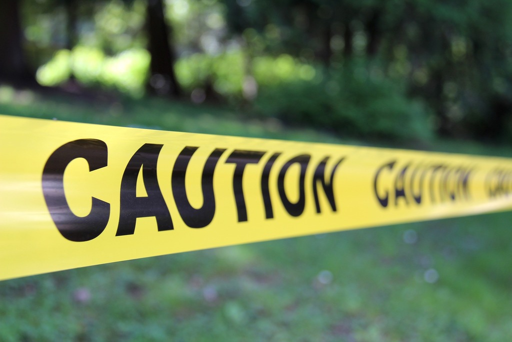 Phillips man charged after his dogs killed another...