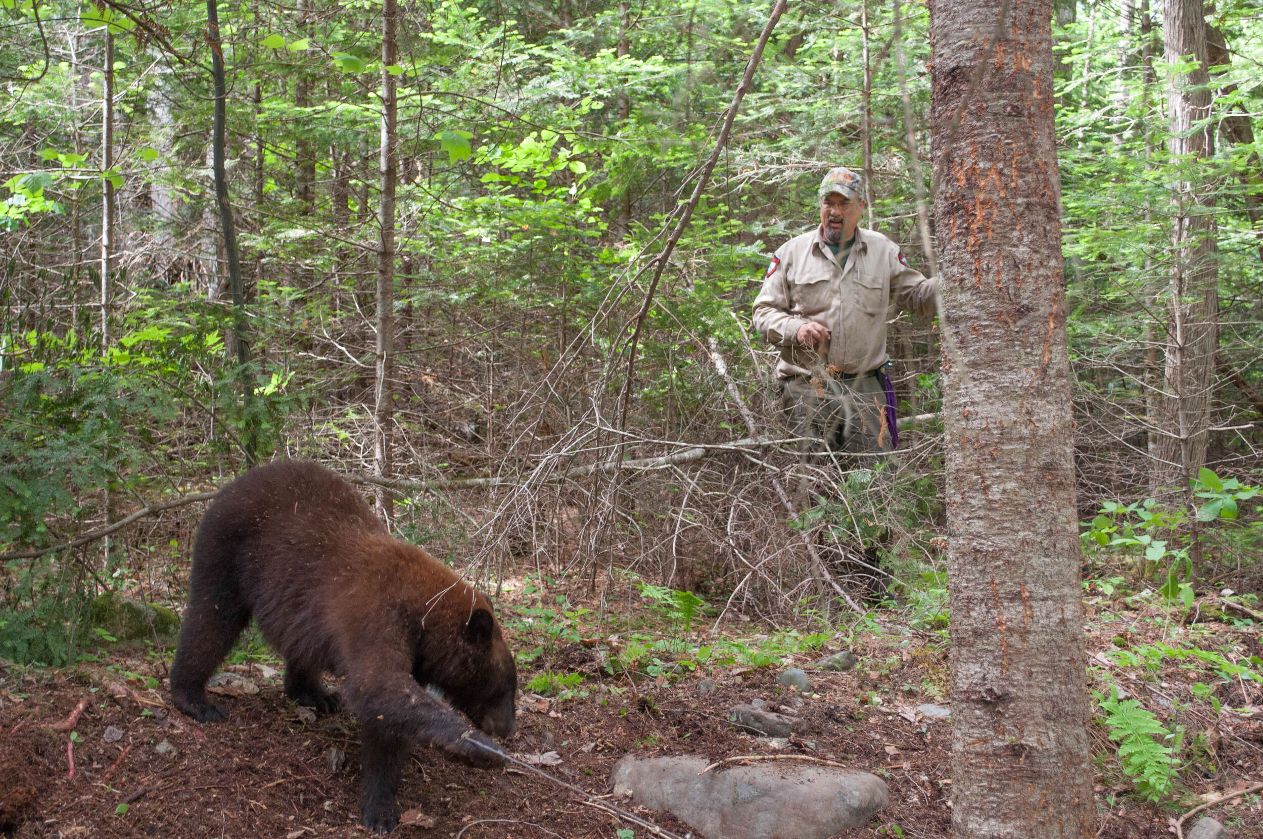 What you need to know about wildlife bills...