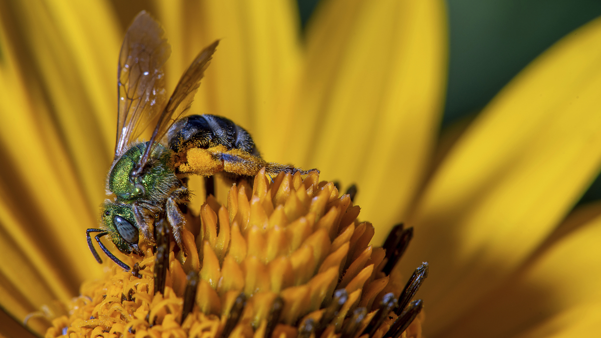 Mount Vernon Homicide / New Property Tax Freeze / Aroostook Worker