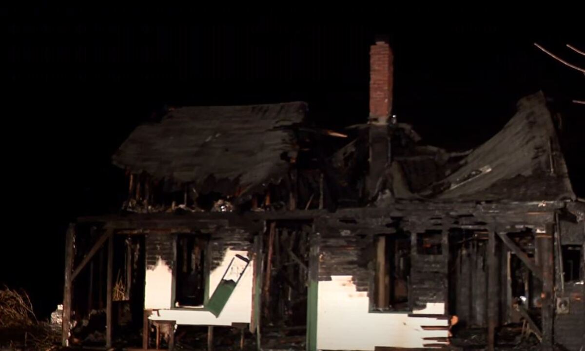 3 dogs die in Freeport house fire