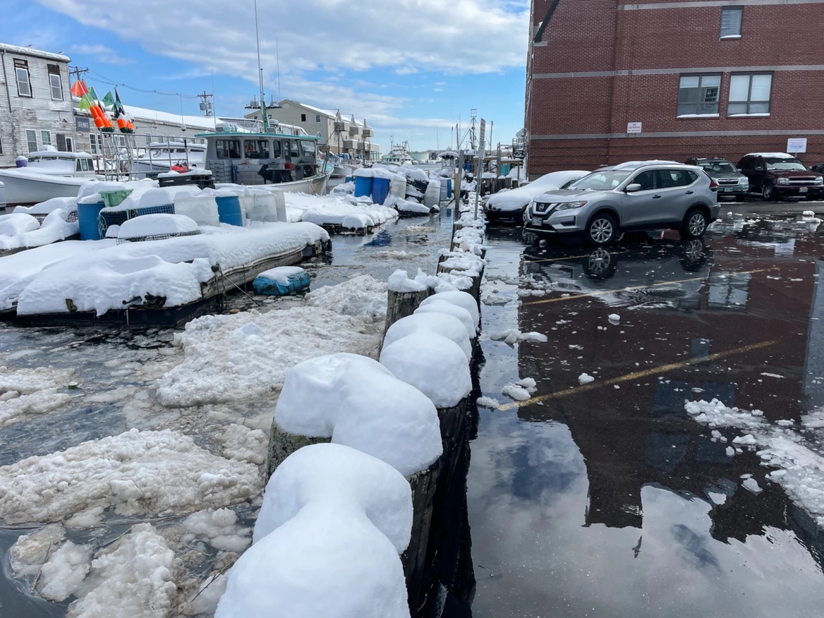 Rising seas are causing 'sunny day flooding' on Maine's coast