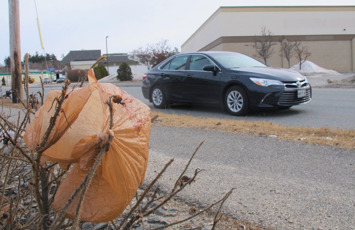 Legislature rejects bill to repeal plastic bag ban