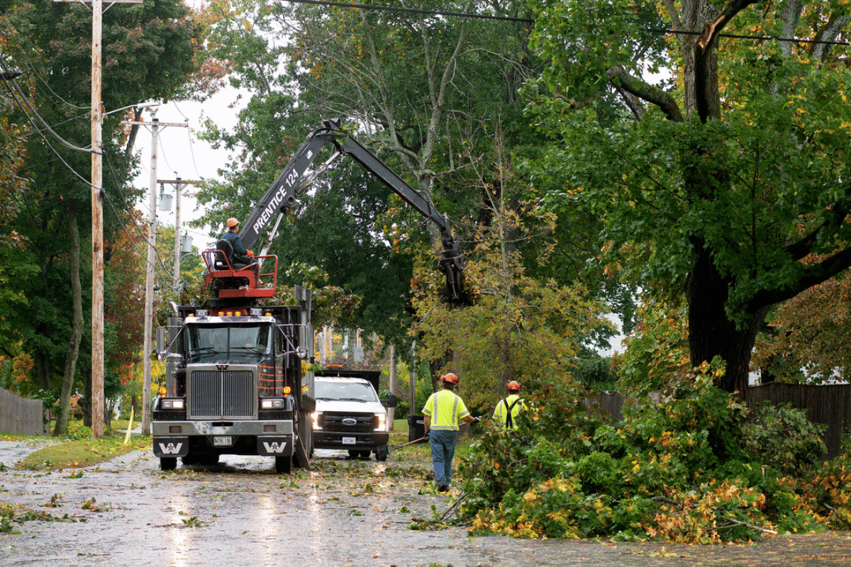 Want a wholehouse generator in Maine? Be ready to wait months.