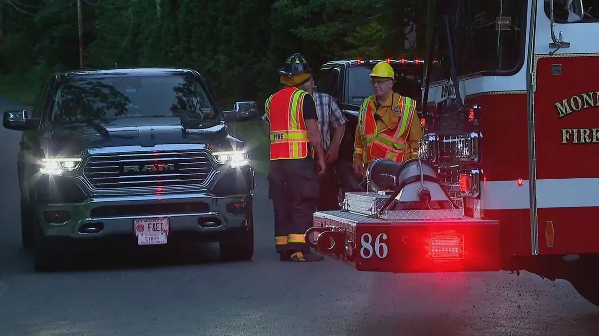 Preliminary report released on deadly Litchfield plane crash