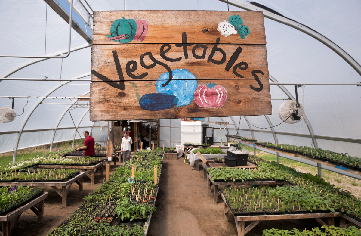 New crops can thrive in Maine gardens thanks to rising temperatures