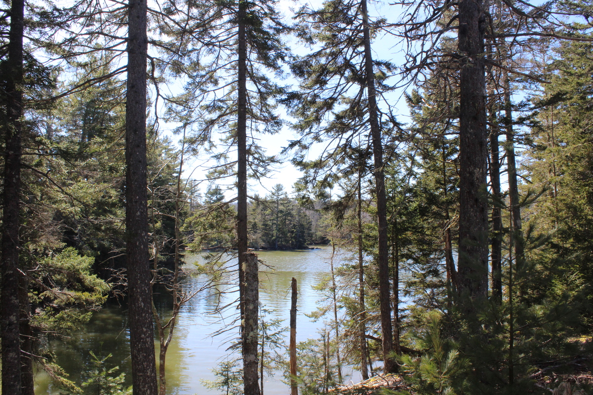 Lamoine property developers eyed for 'glamping' resort is now