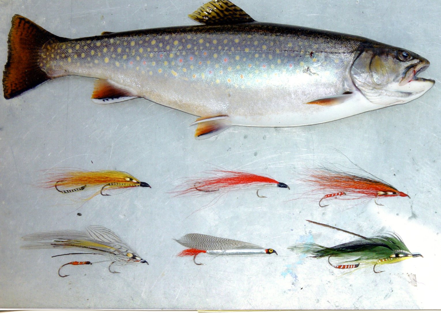 Experiment With Tandem Streamers For Best Open Water Action - Fiddlehead Focus