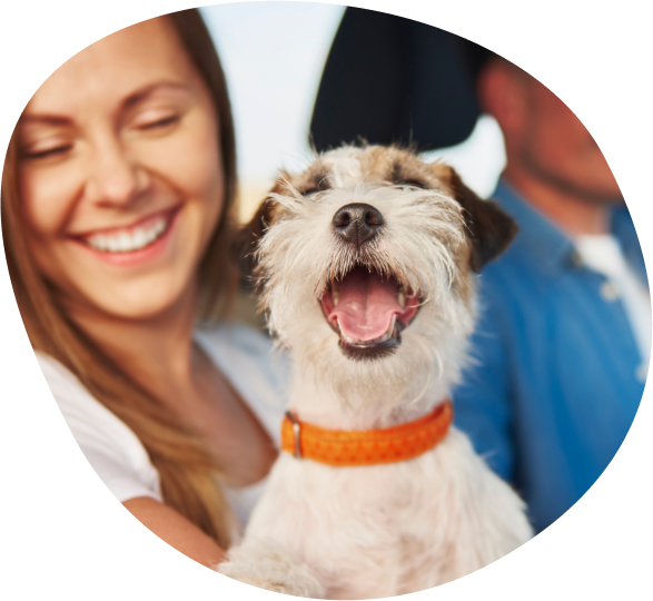 Wholesale Pet Supplies Dog Treats and Budget Pet Products in Australia