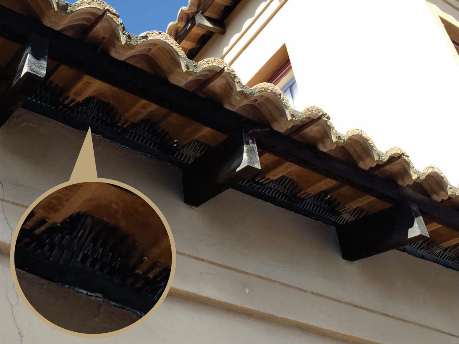 BDS Bird Comb Kits Roof Space Closure Bird Deterrent Specialists