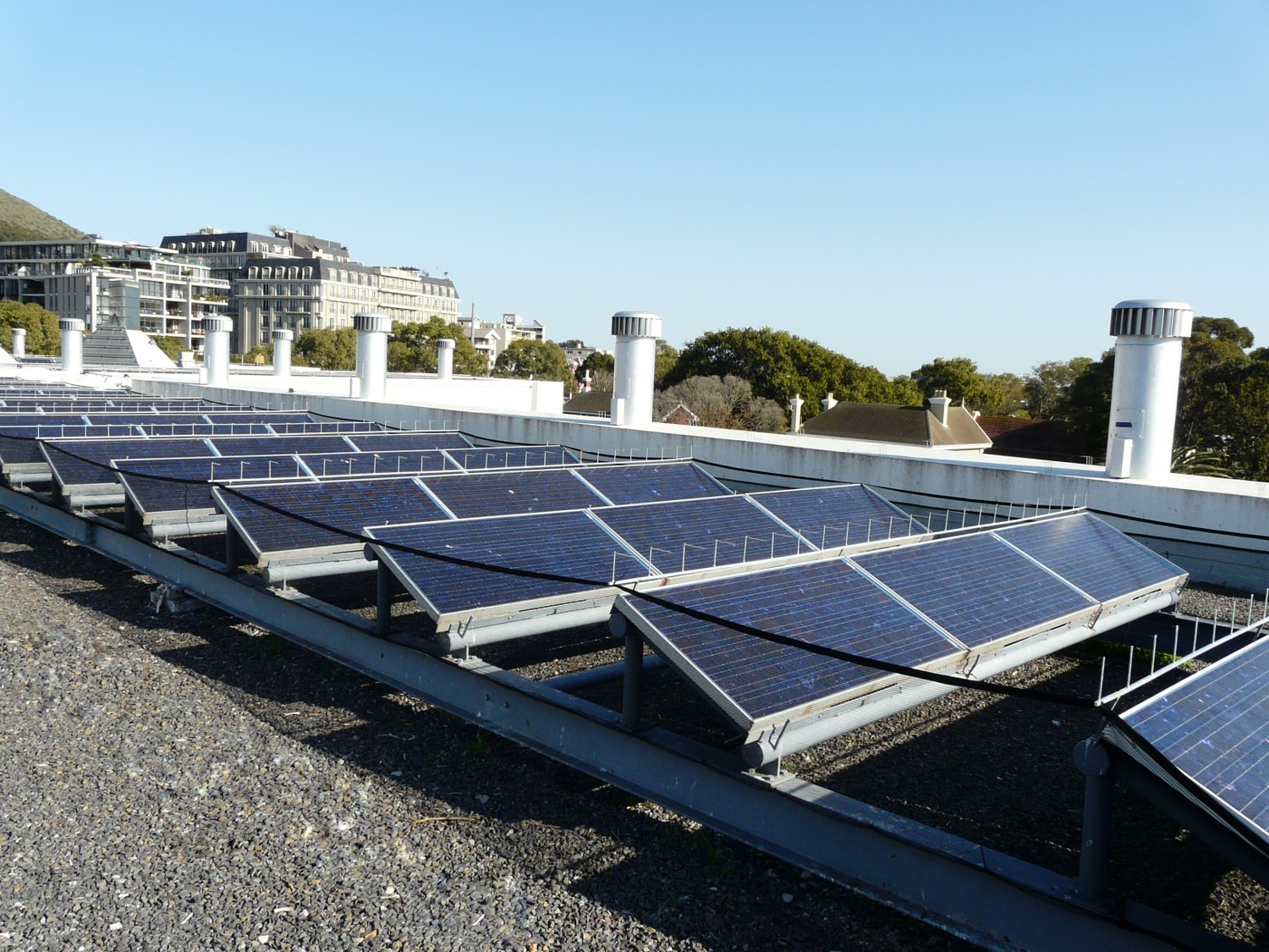 Solar Panel Protection Bird Deterrent Specialists