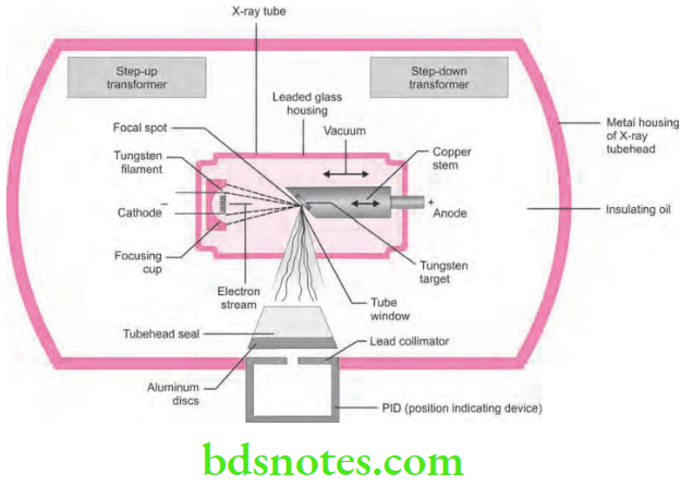 Production Of X-Ray Question And Answers - BDS Notes