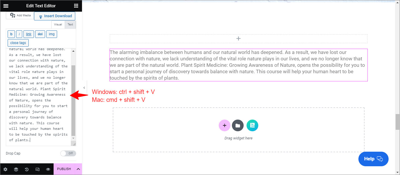 How To Fix Elementor Text Color Not Changing