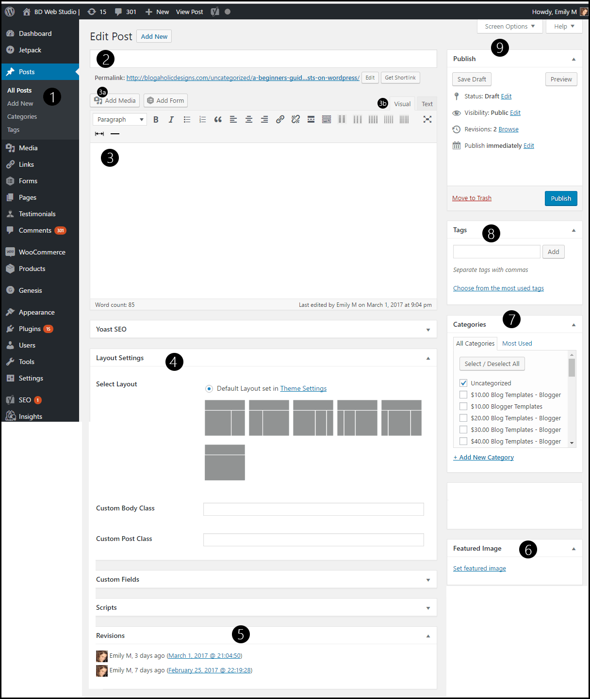 The Anatomy of a WordPress Blog Post (Classic Editor) BD Web Studio