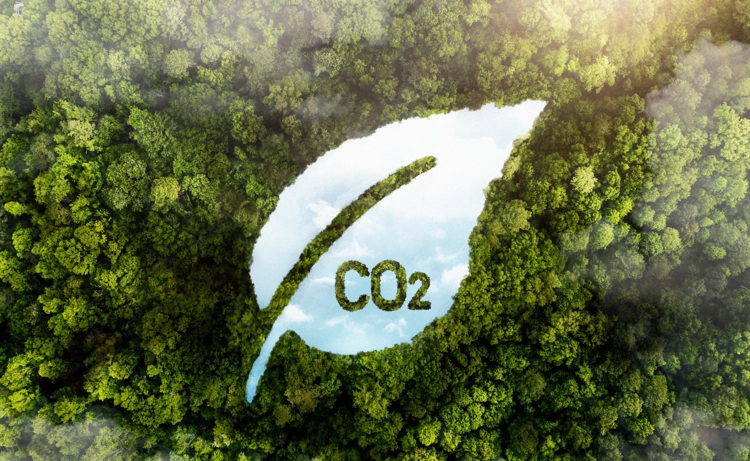 Carbon Offsets vs Carbon Credits Key Differences BECIS