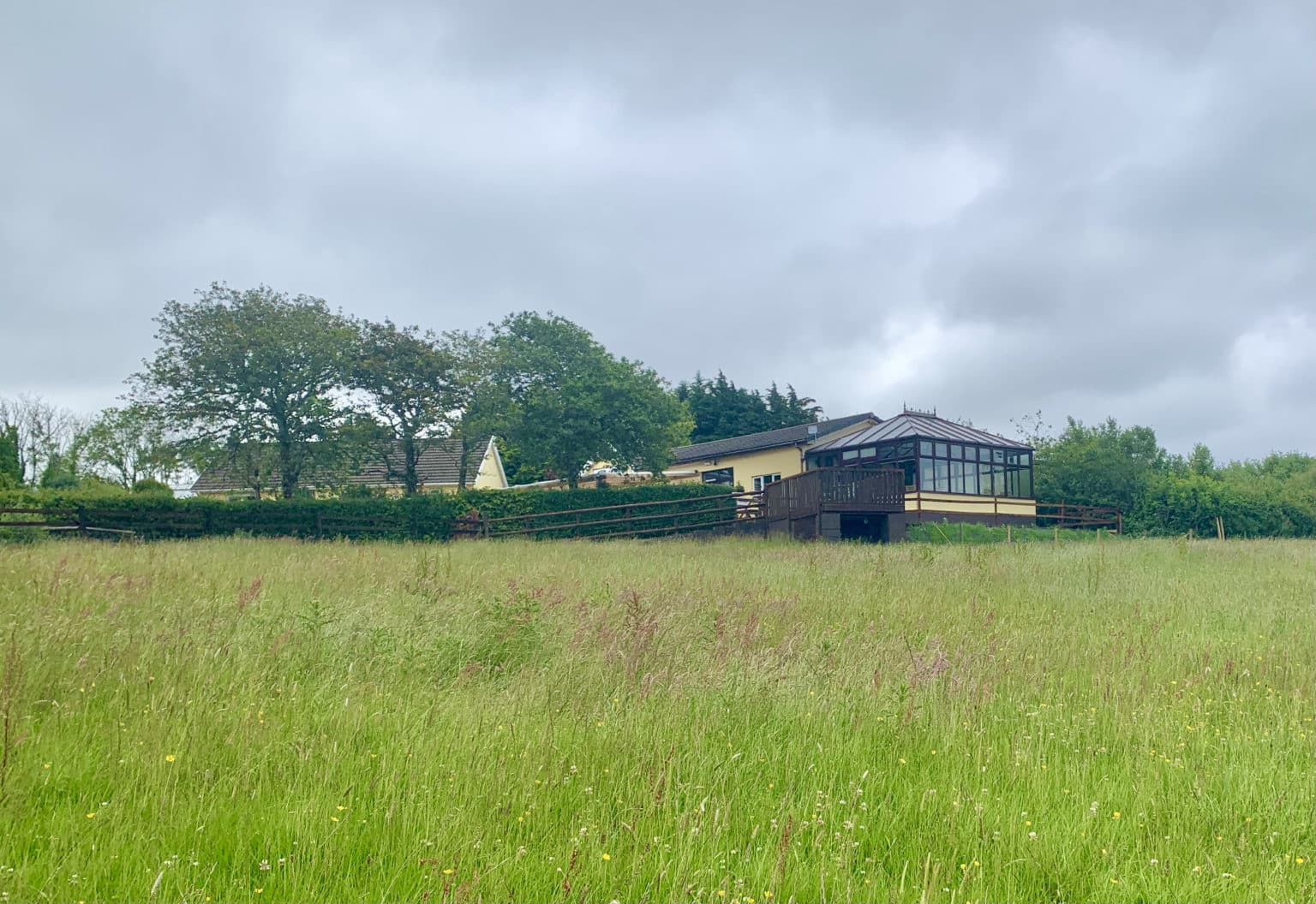 CWM DERI VINEYARD A BEAUTIFUL SUSTAINABLE ESTATE IN PEMBROKESHIRE