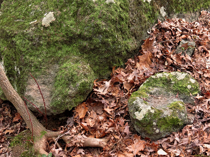 Soapstone Ridge Panola GA