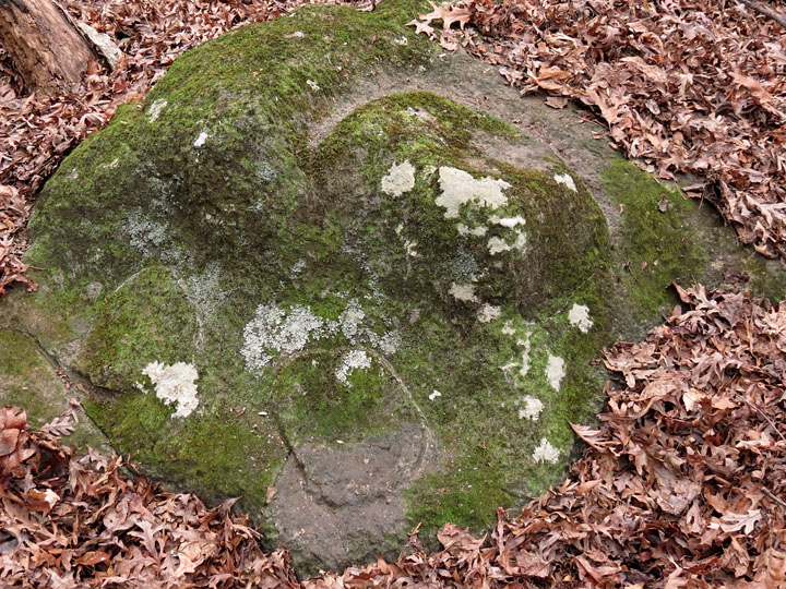 Soapstone Ridge Panola GA