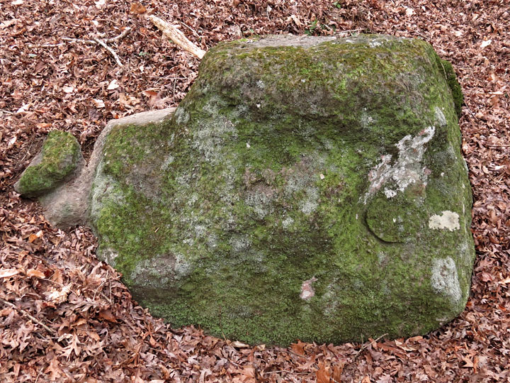 Soapstone Ridge Panola GA