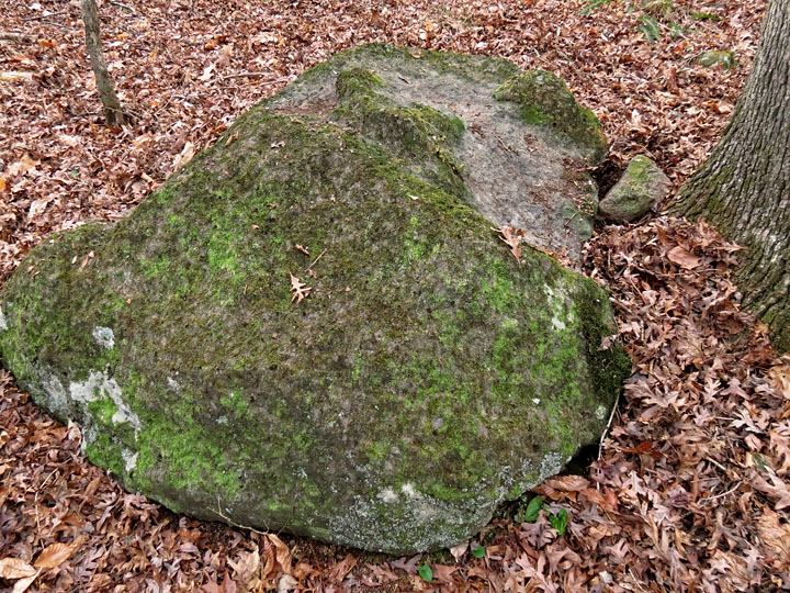 Soapstone Ridge Panola GA