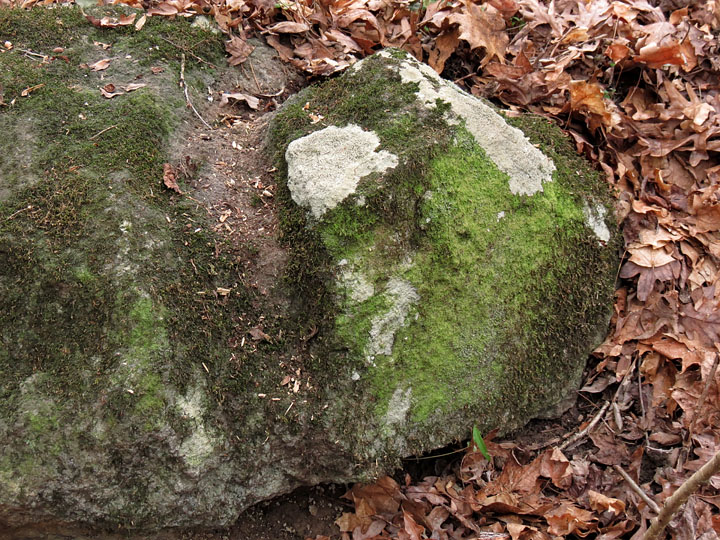 Soapstone Ridge Panola GA