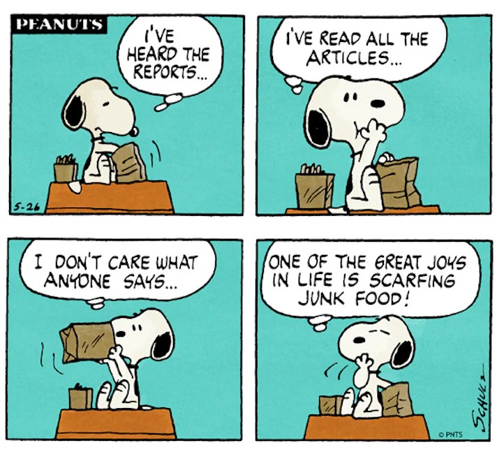 7 Reasons Snoopy Is The Best Representation Of A Beagle BeChewy