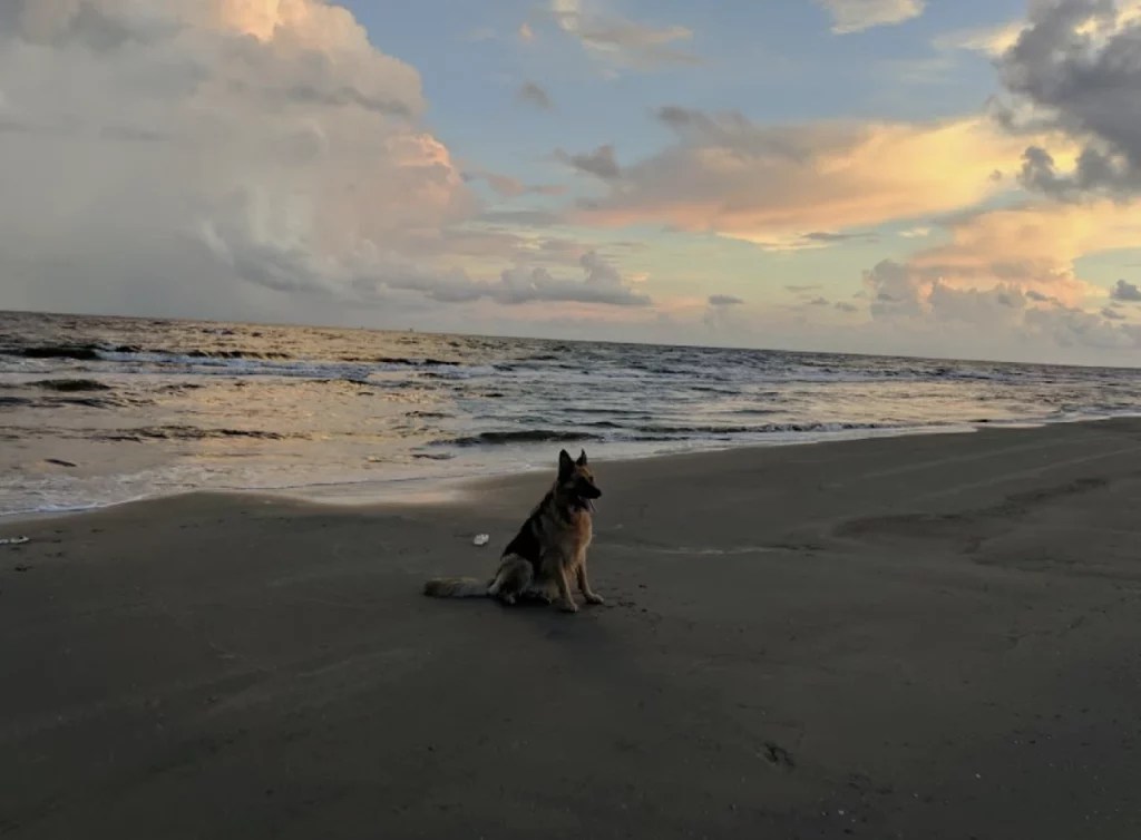 Grand Isle Beach Your local beach advisor