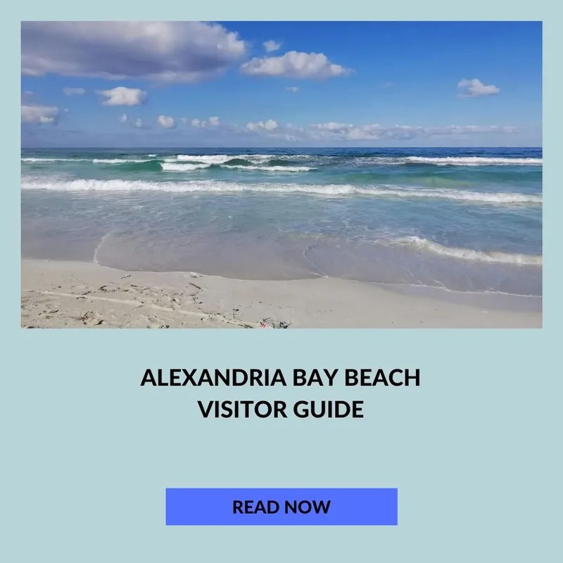 Alexandria Bay Best Sunshine Coast Beaches 2024 (UPDATED)