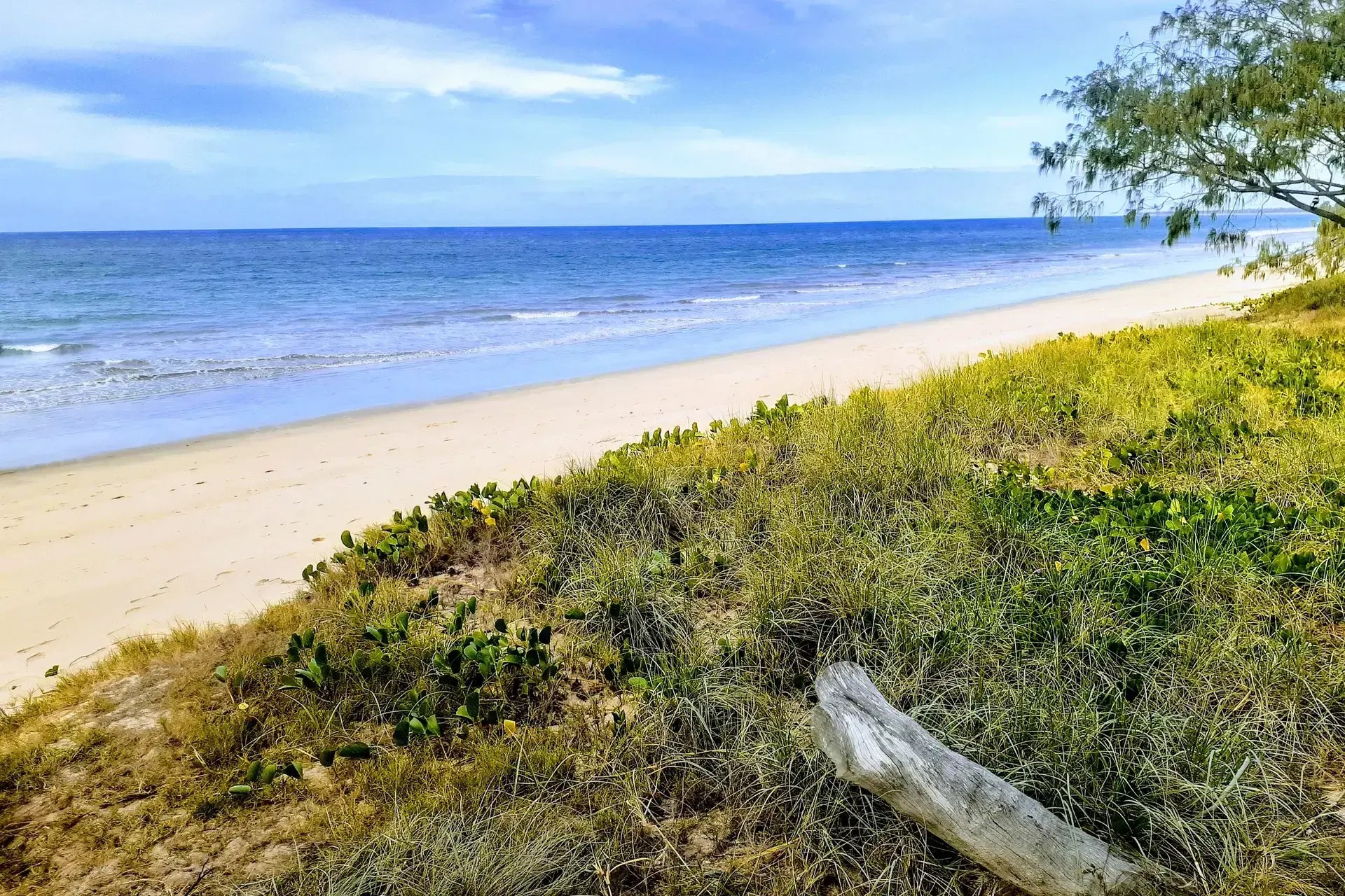 Blog Awesome Queensland Beaches Posts & Feature Articles
