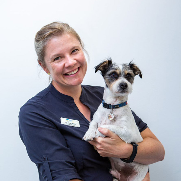 Alice Beach + Bay Vet