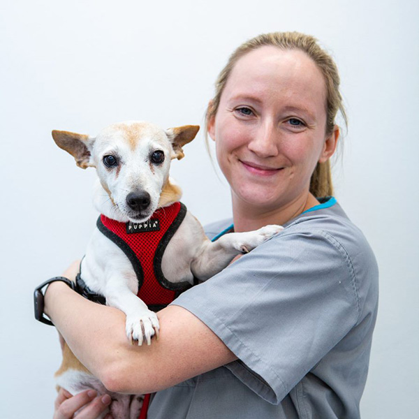 Amanda Beach + Bay Vet