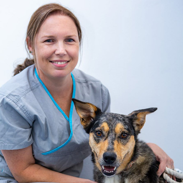 Carly Beach + Bay Vet