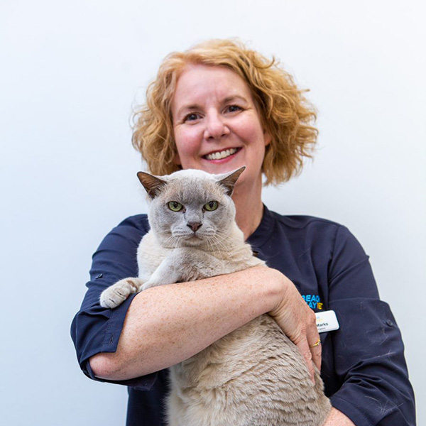 Helen Beach + Bay Vet