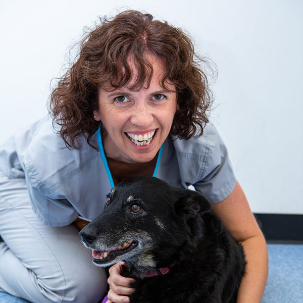 Our People Beach + Bay Vet Meet the Team at Beach + Bay Vet