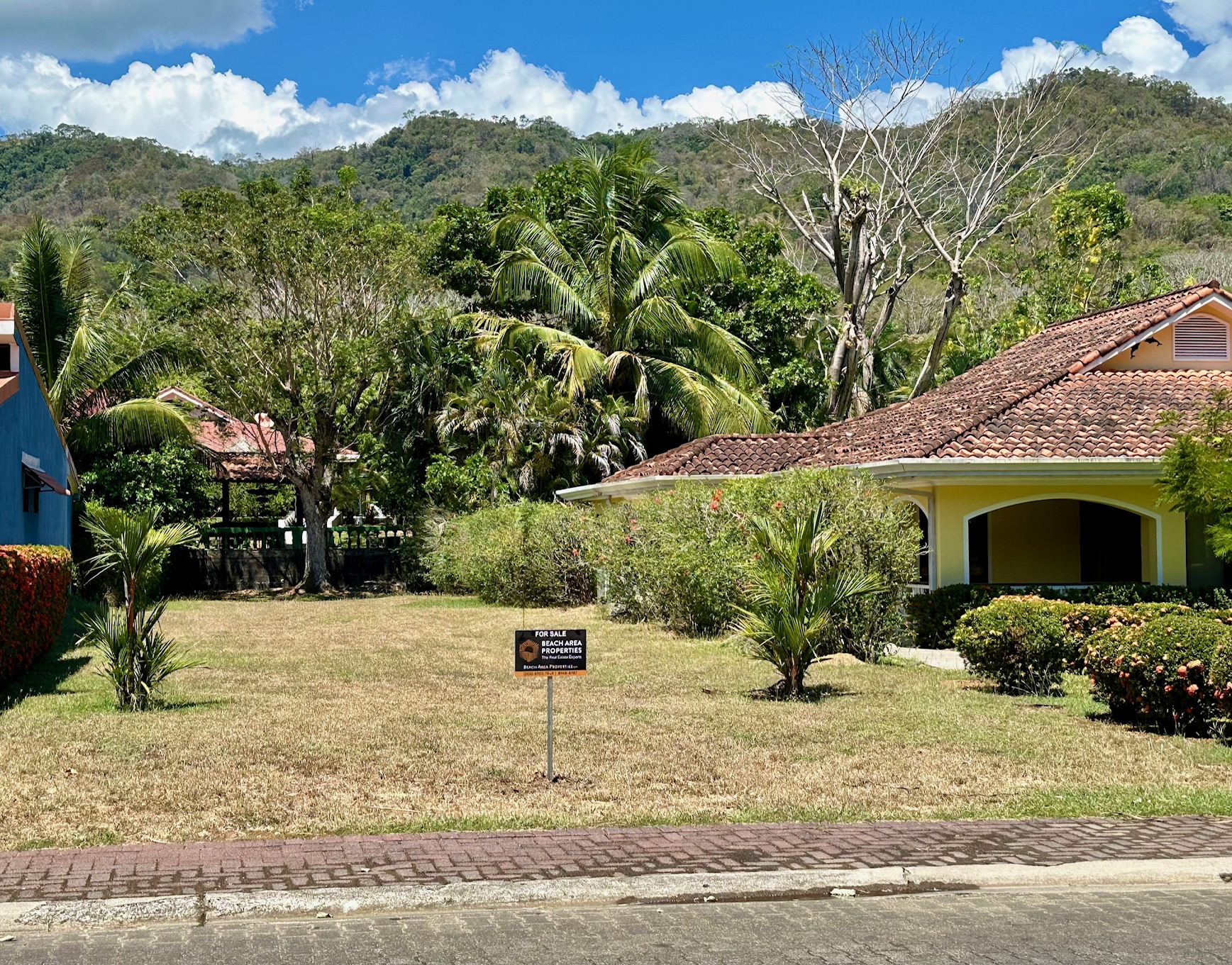 Los Delfines Beach Area Properties