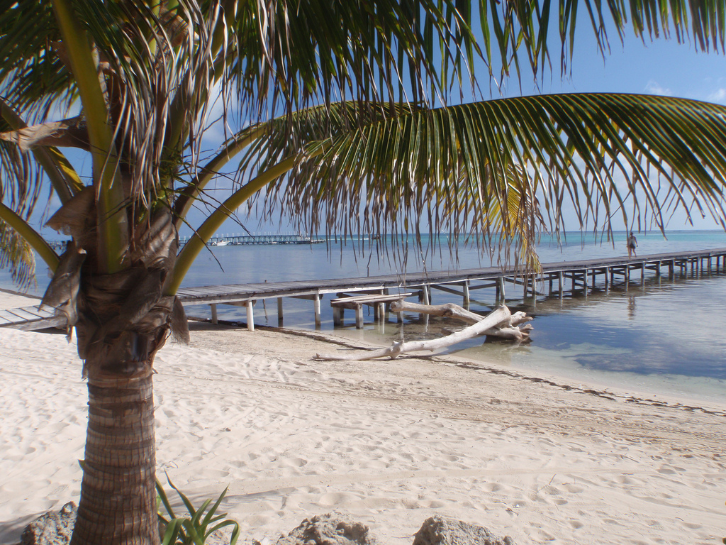 Update on Belize Beach Bar for Sale Kama Lounge and Bistro Bar
