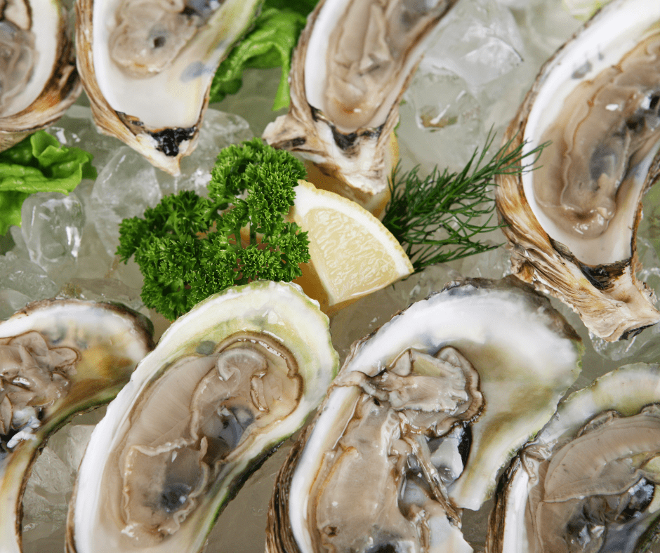 Fresh Raw Oysters Lowest Price on the Beach! Beach Bux