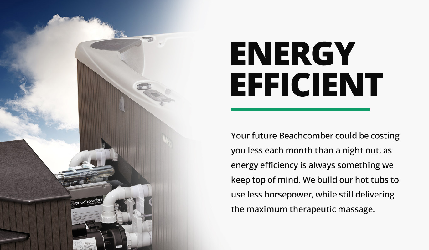 We Belong In The Water Hot Tubs