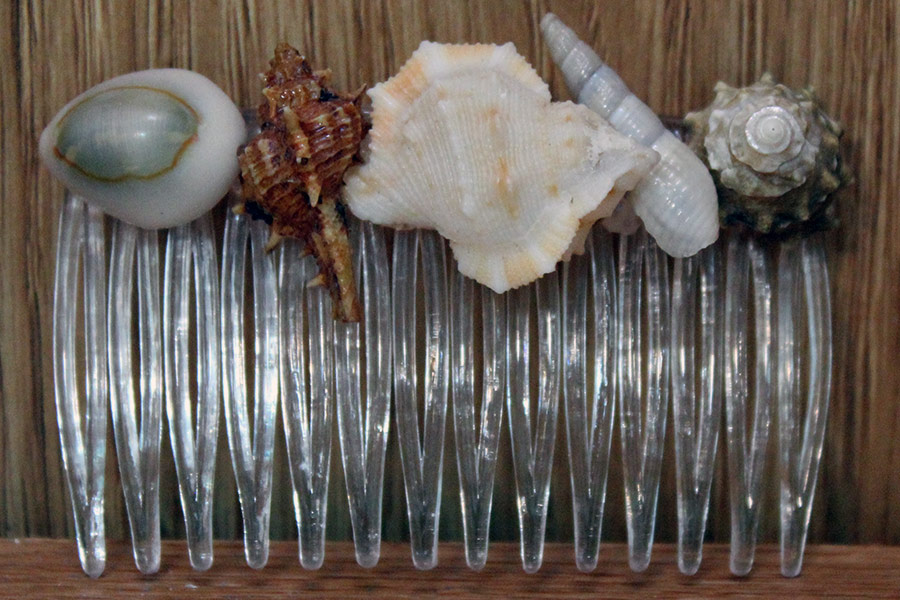 Shell Hair Comb Sea Treasure by Patrice