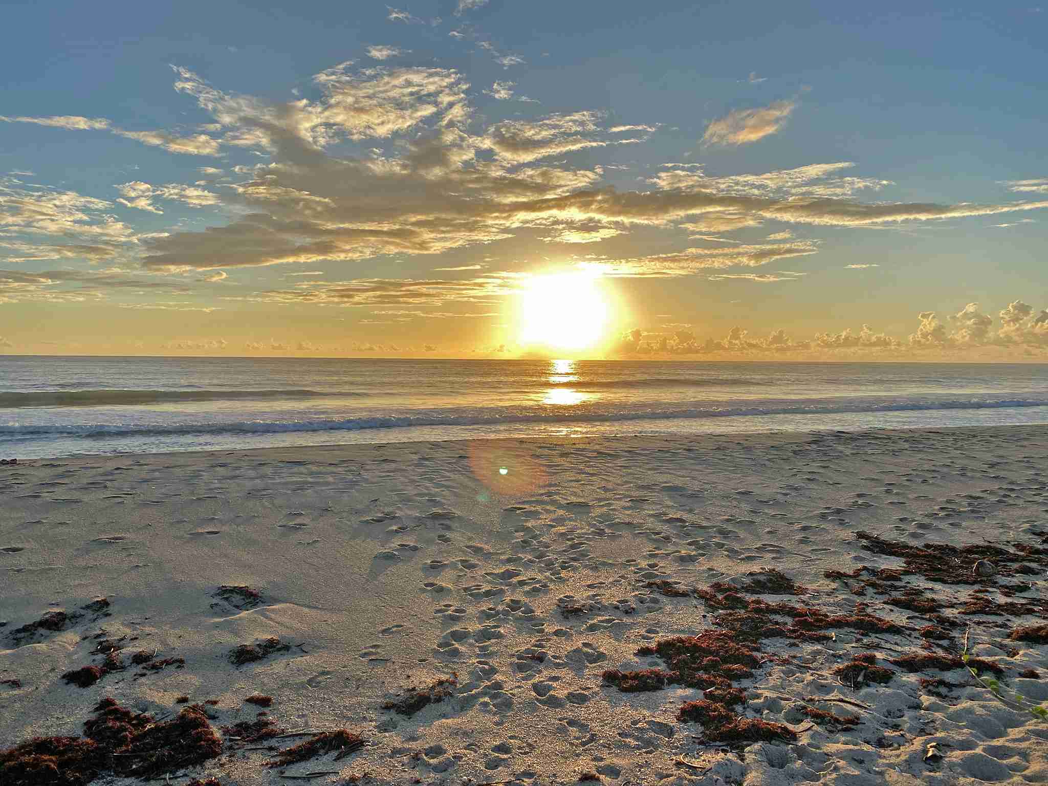 Atlantic View Beach Club *1204 Beach Front Mann Realty