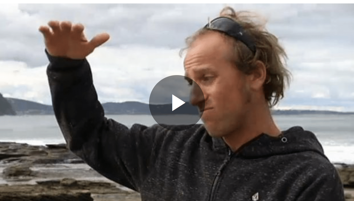 Great White Attack near Bells "It had me in its jaws!" BeachGrit