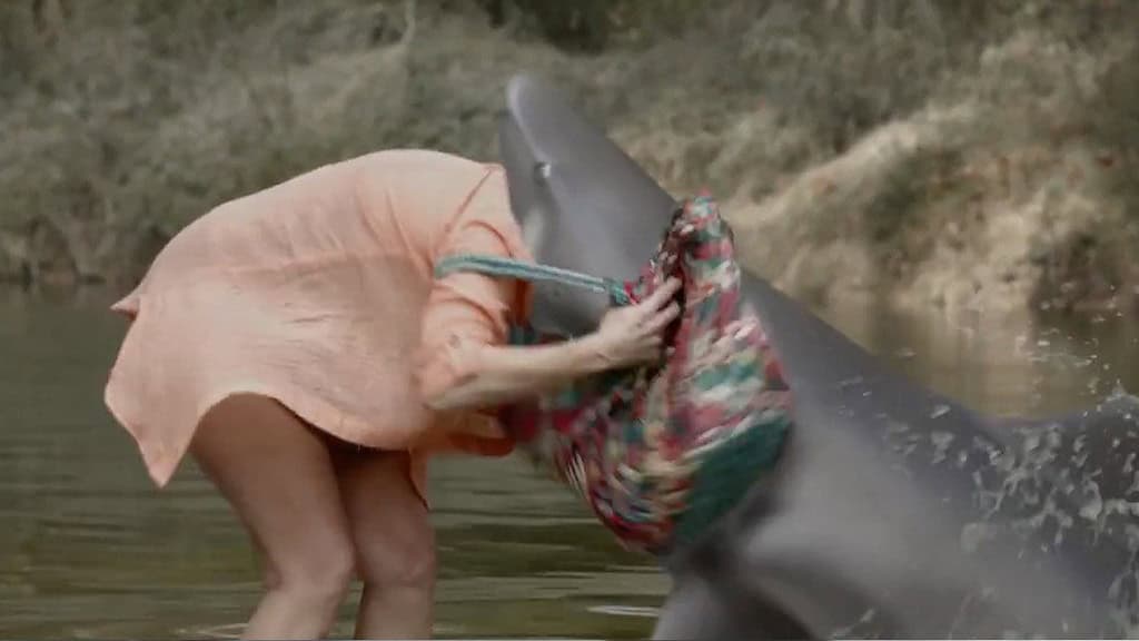 Unprecedented For first time in recorded history "maneating" Great White sharks head to Rhode